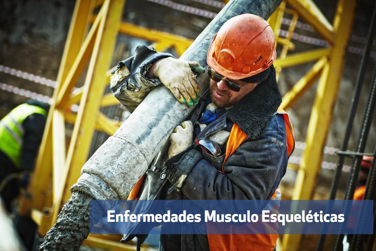 Enfermedades Musculo Esqueleticas